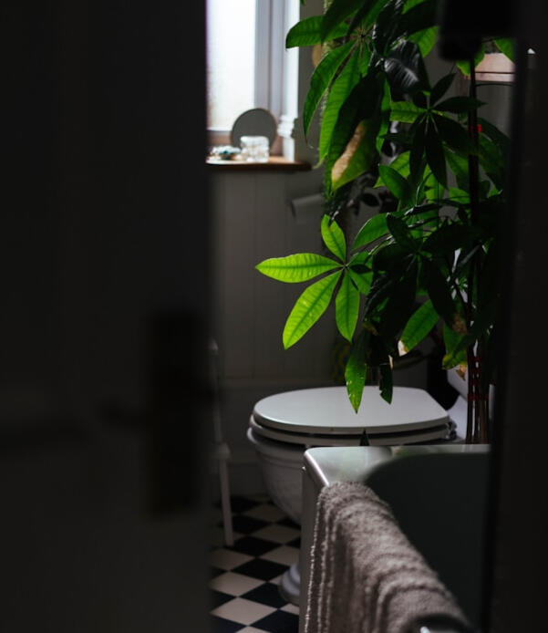 Natural light bathroom interior suggesting a calm daily routine